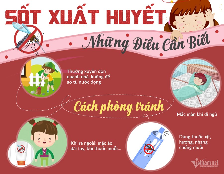 Cách phòng bệnh Sốt Xuất Huyết